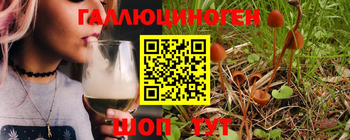 Псилоцибиновые грибы мухоморы Озёры