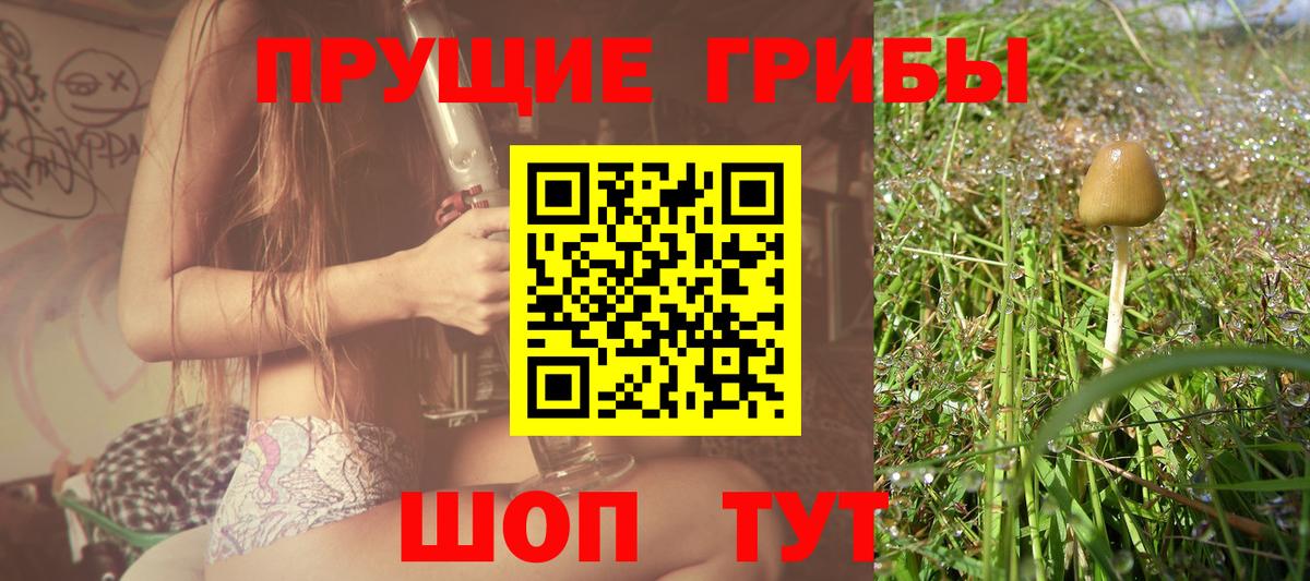 Озёры  Галлюциногенные грибы мицелий  Галлюциногенные грибы Psilocybe  Вход с VPN 
